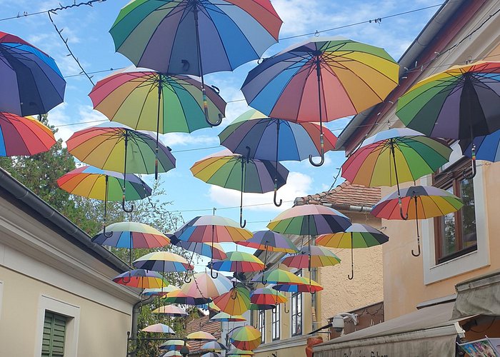 Szentendre Bike & Boat Tour