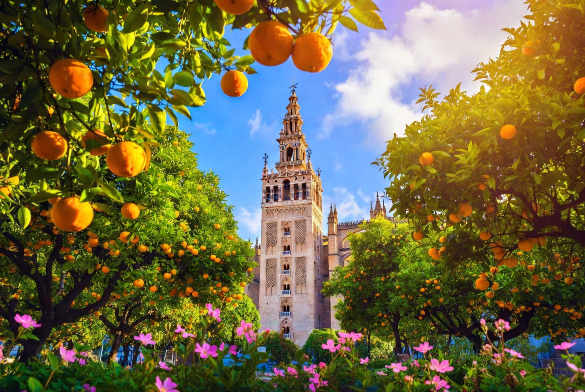 Seville