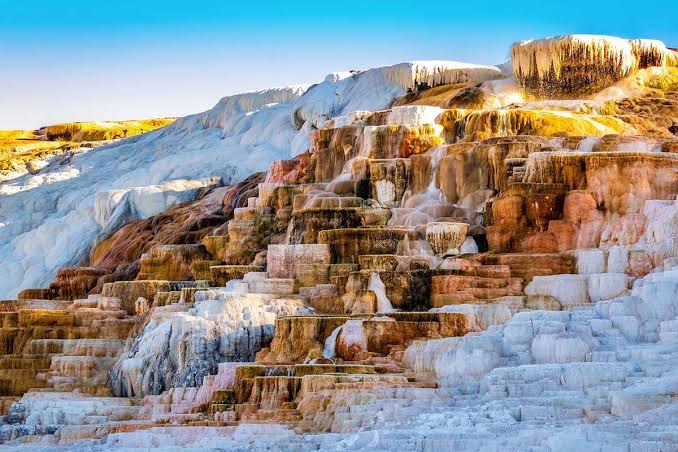 Mammoth Hot Springs