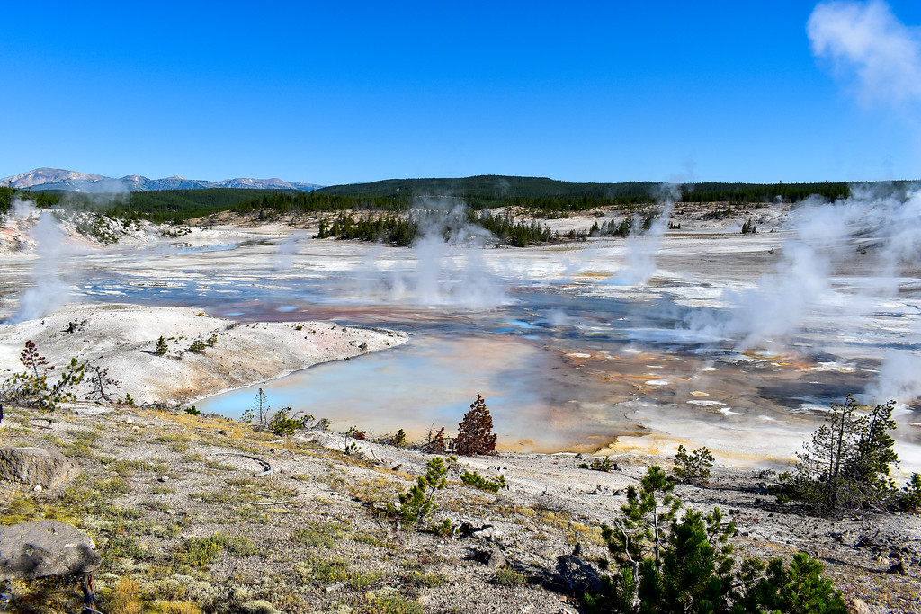 Norris Geyser Basin