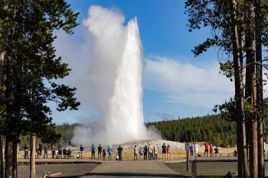 Old Faithful and Geyser Hill