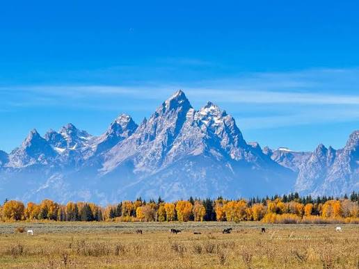 Snake River Overlook and Elk Ranch Flats