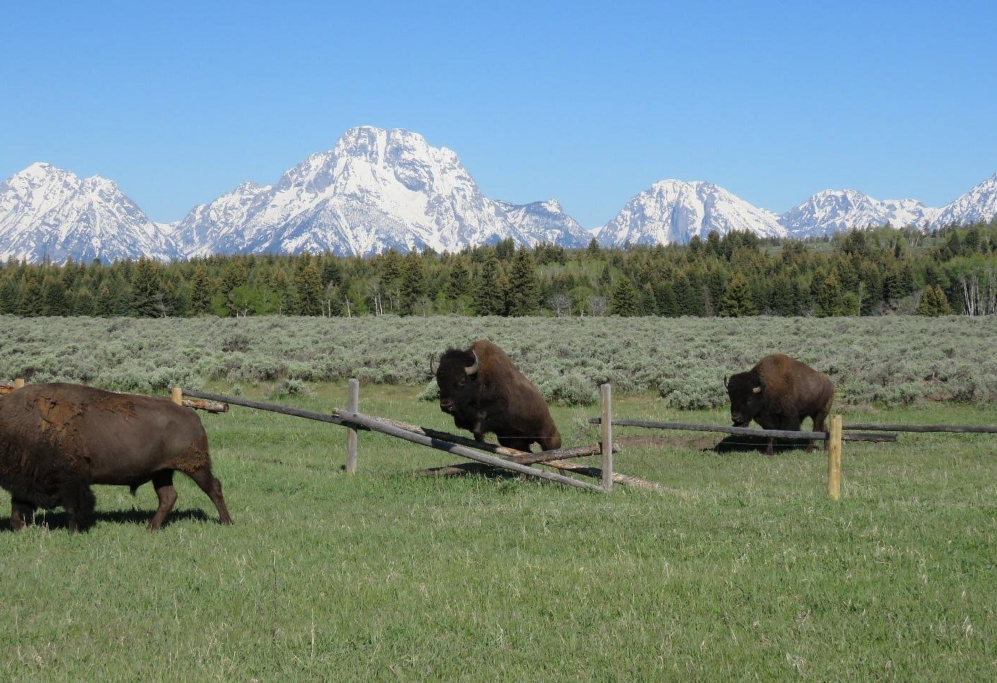 Private Grand Teton full-day tour